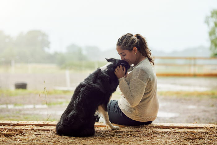 Hundeforsikring – God dækning & mulighed for rabat – Se din - Agria Dyreforsikring