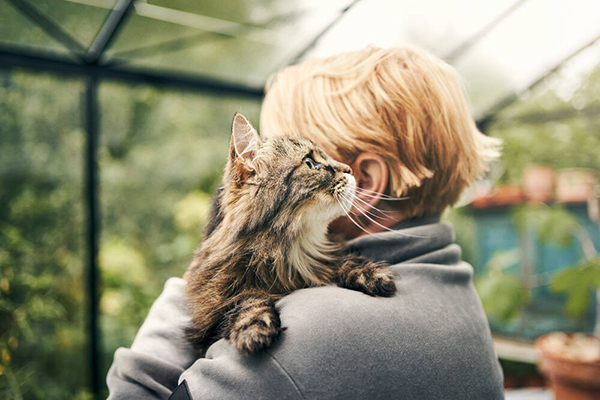 Katteforsikring – og bred dækning - Agria Dyreforsikring