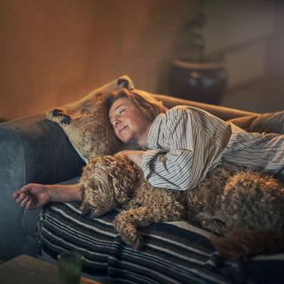 Ejer og hund hygger sig i sofaen.