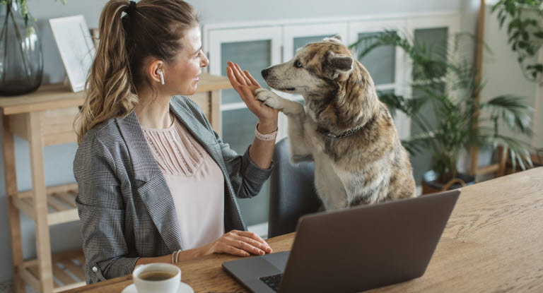 Matte och hund som gör high-five framför datorn.