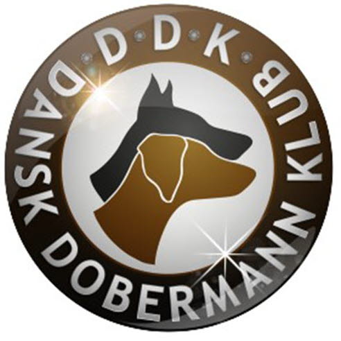 Artikler Om Dobermann I Området Hund - Agria Dyreforsikring